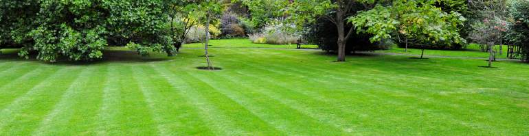 Aération gazon Sherbrooke Magog