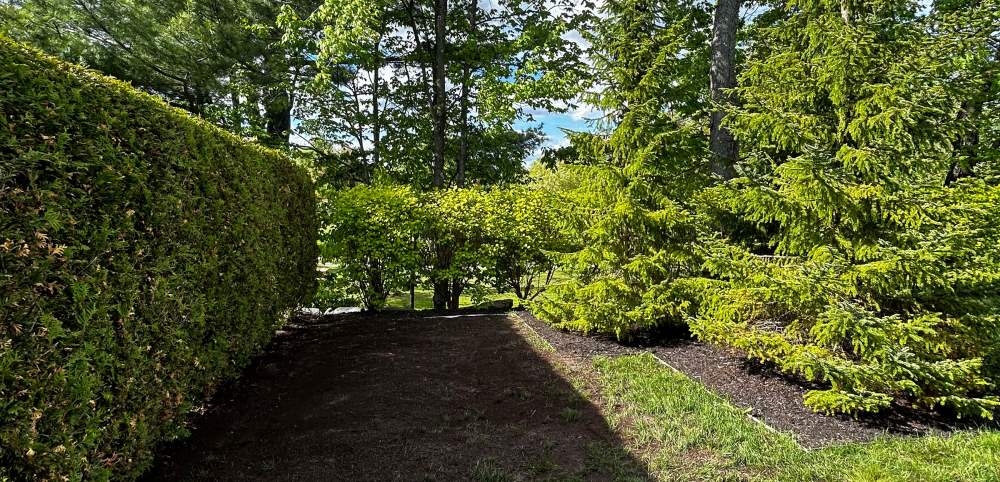 Traitement gazon Estrie