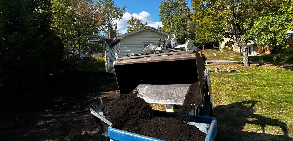 Traitement gazon Estrie