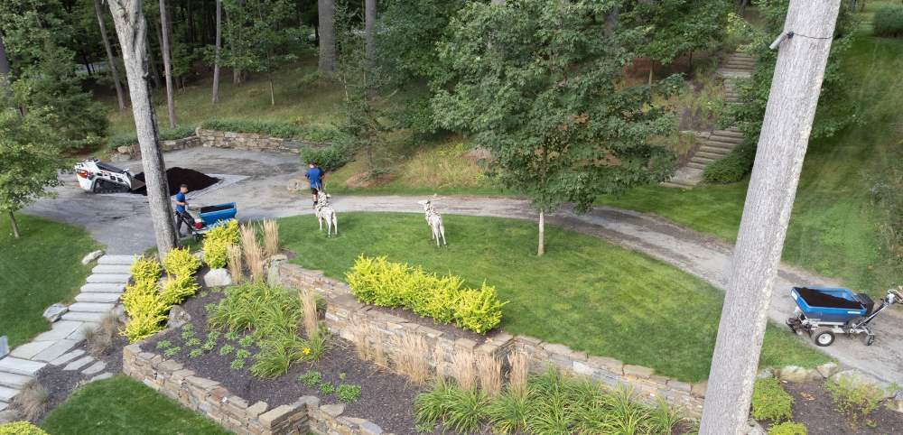 Traitement gazon Estrie