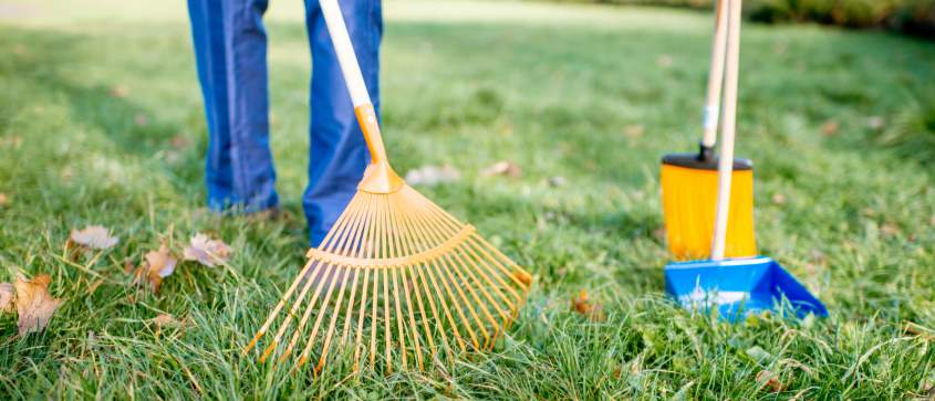 Traitement gazon Estrie