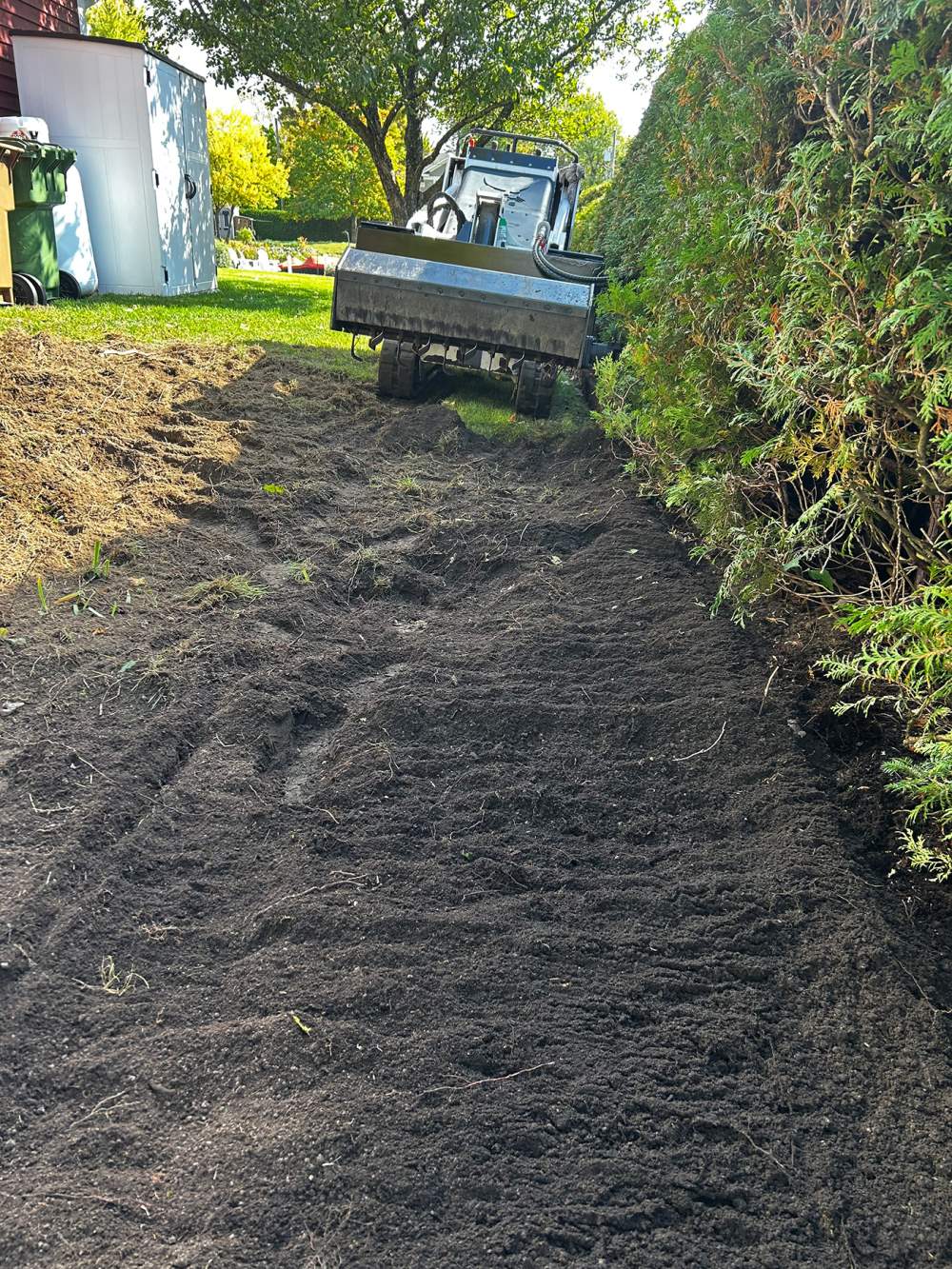 Réalisation de Gazon écologique DJ