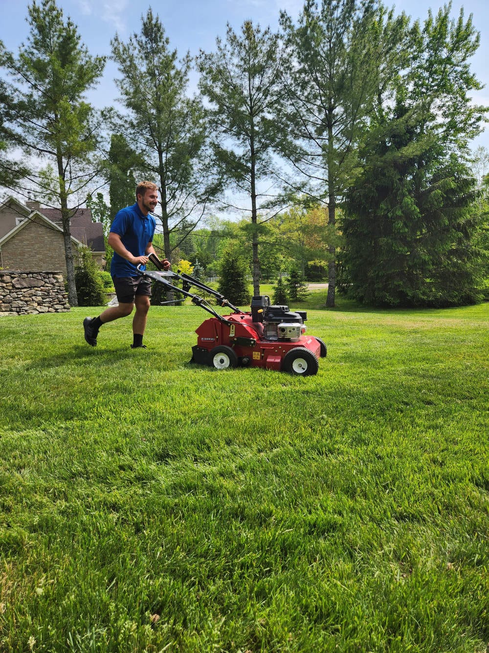 Réalisation de Gazon écologique DJ