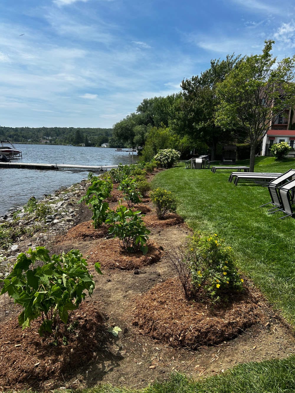 Réalisation de Gazon écologique DJ