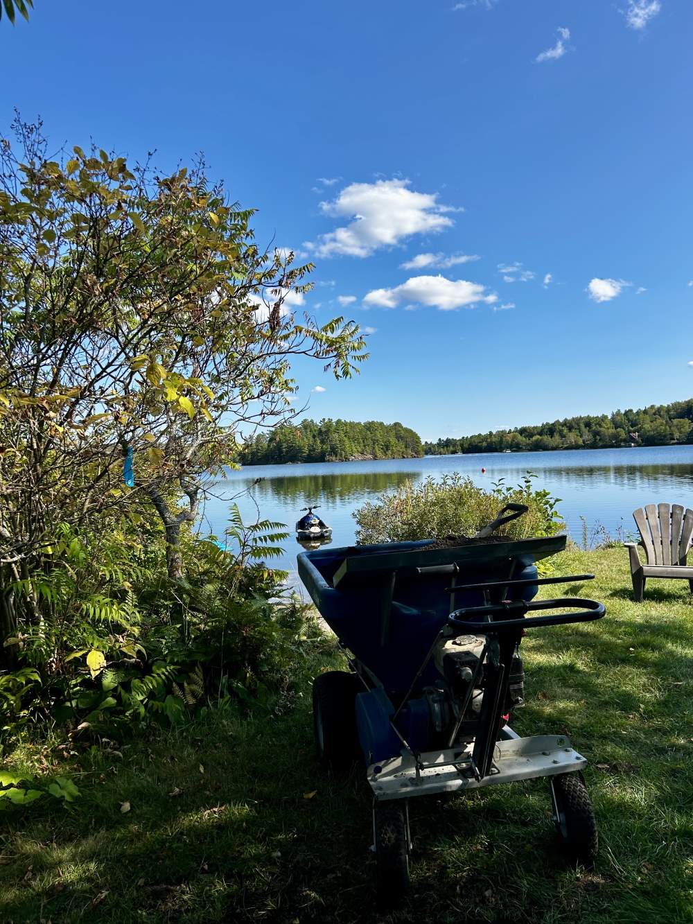Réalisation de Gazon écologique DJ