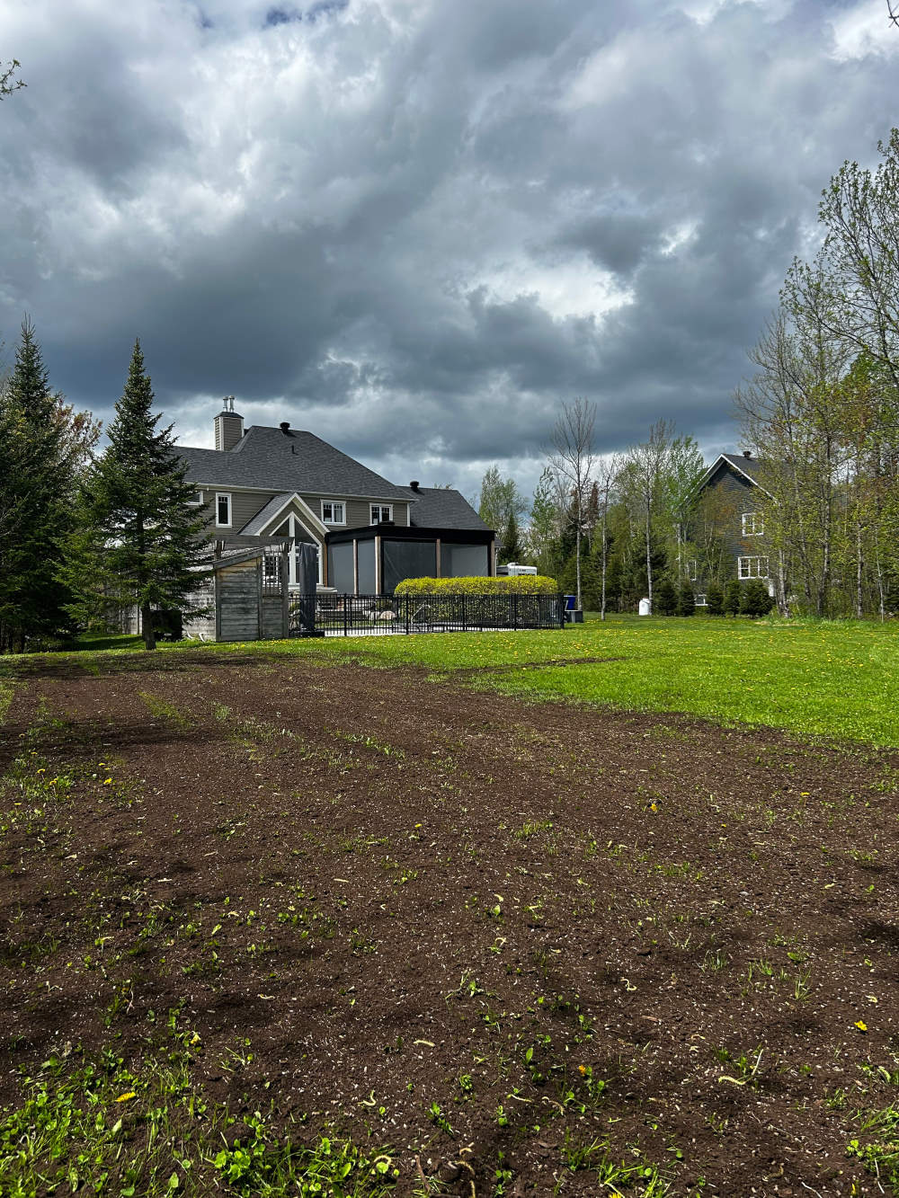 Réalisation de Gazon écologique DJ