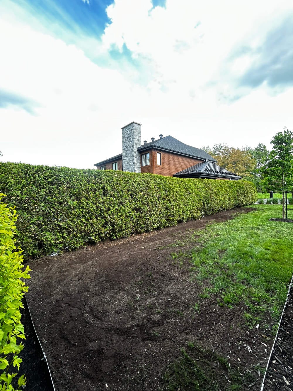 Réalisation de Gazon écologique DJ