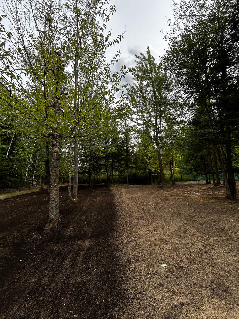 Réalisation de Gazon écologique DJ