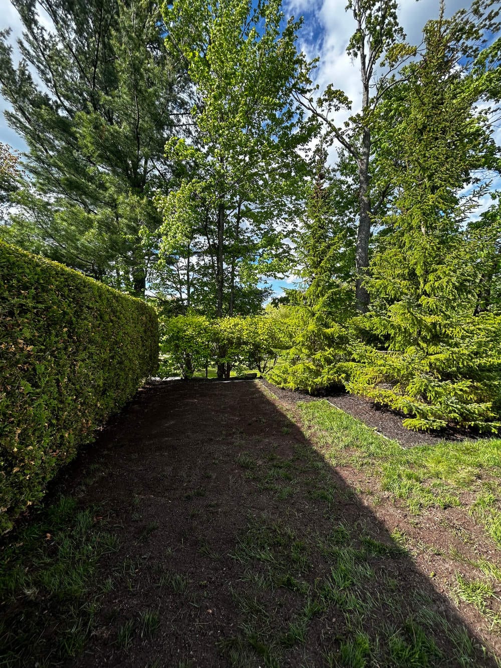 Réalisation de Gazon écologique DJ