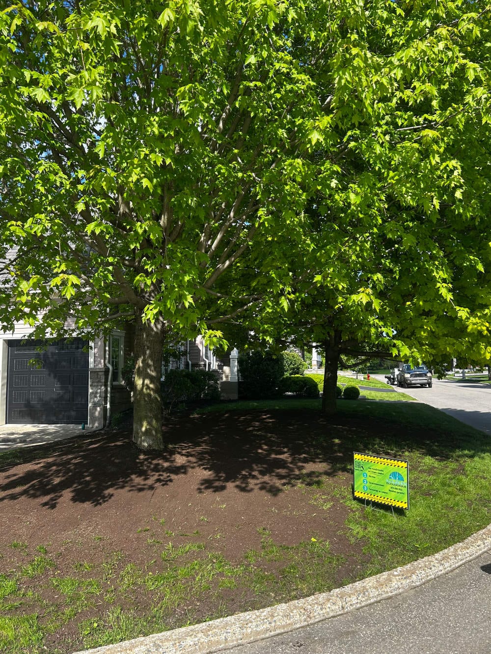 Réalisation de Gazon écologique DJ