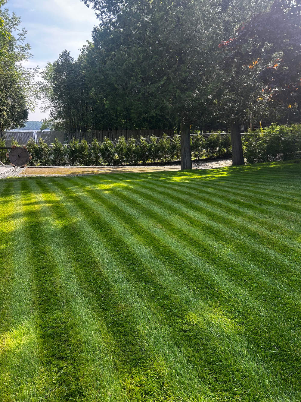 Réalisation de Gazon écologique DJ