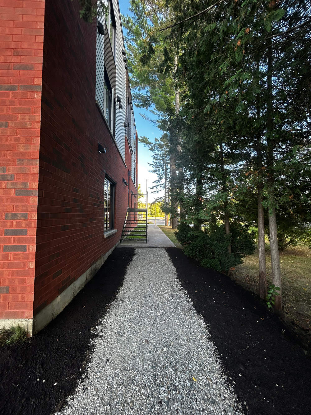 Réalisation de Gazon écologique DJ