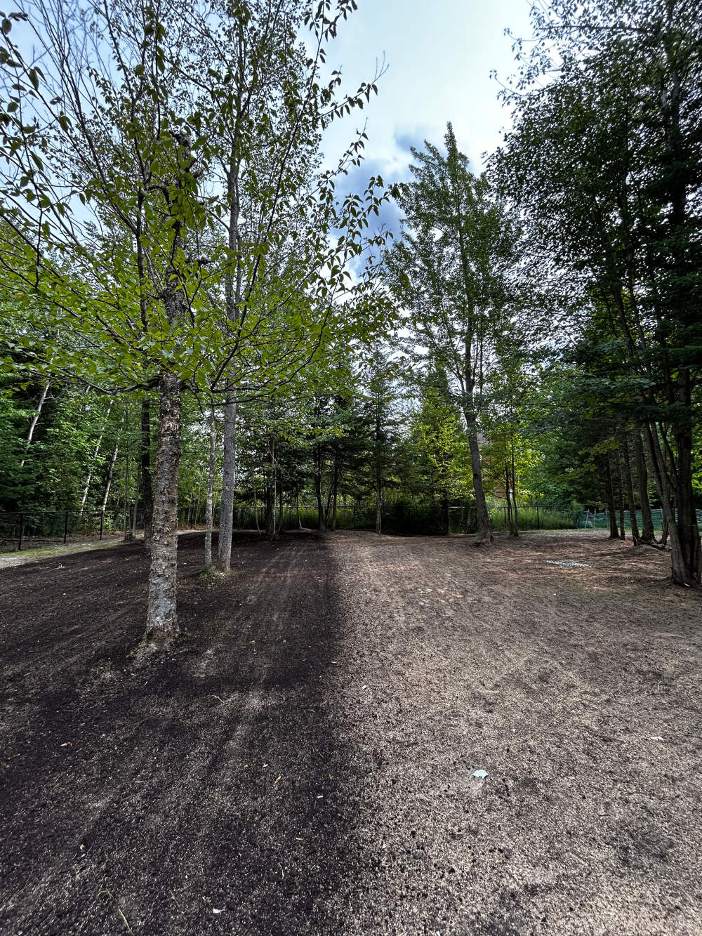 Réalisation de Gazon écologique DJ