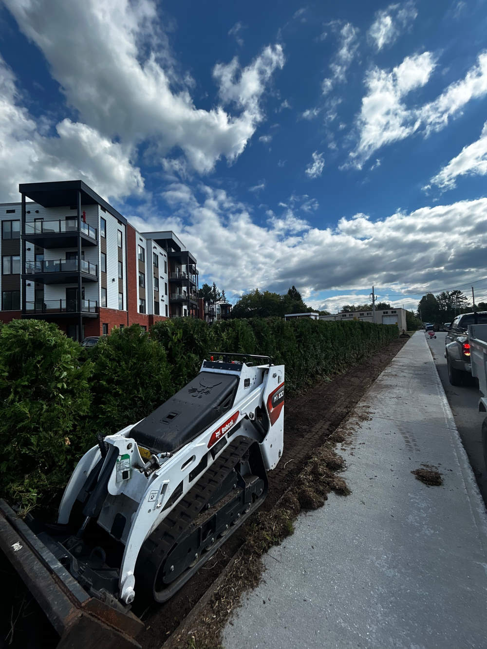 Réalisation de Gazon écologique DJ