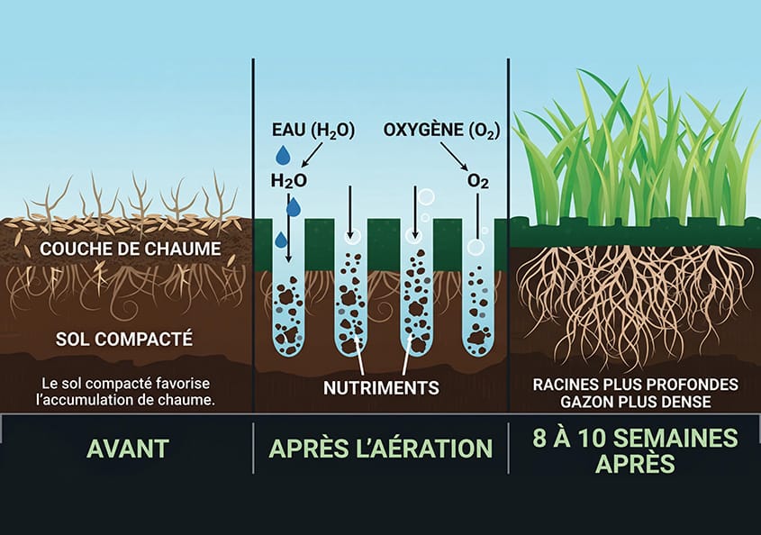 Aération gazon Sherbrooke Magog