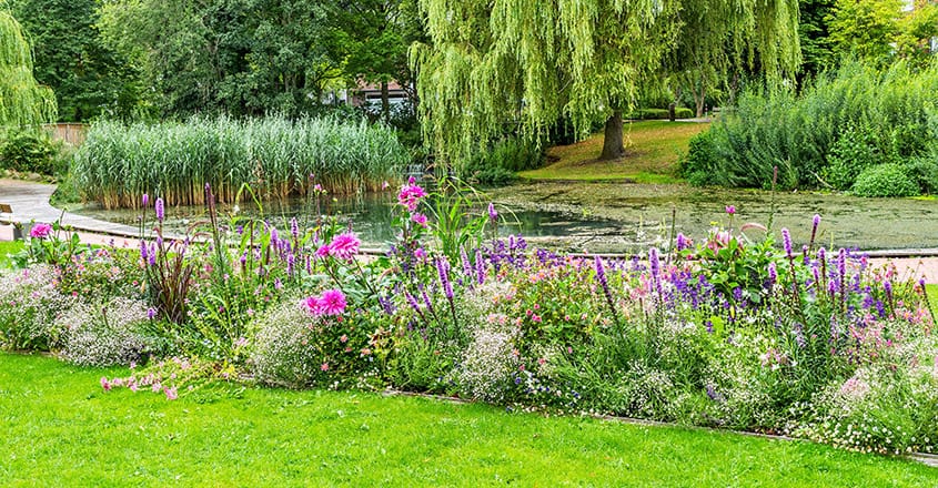 Bande riveraine Sherbrooke Magog