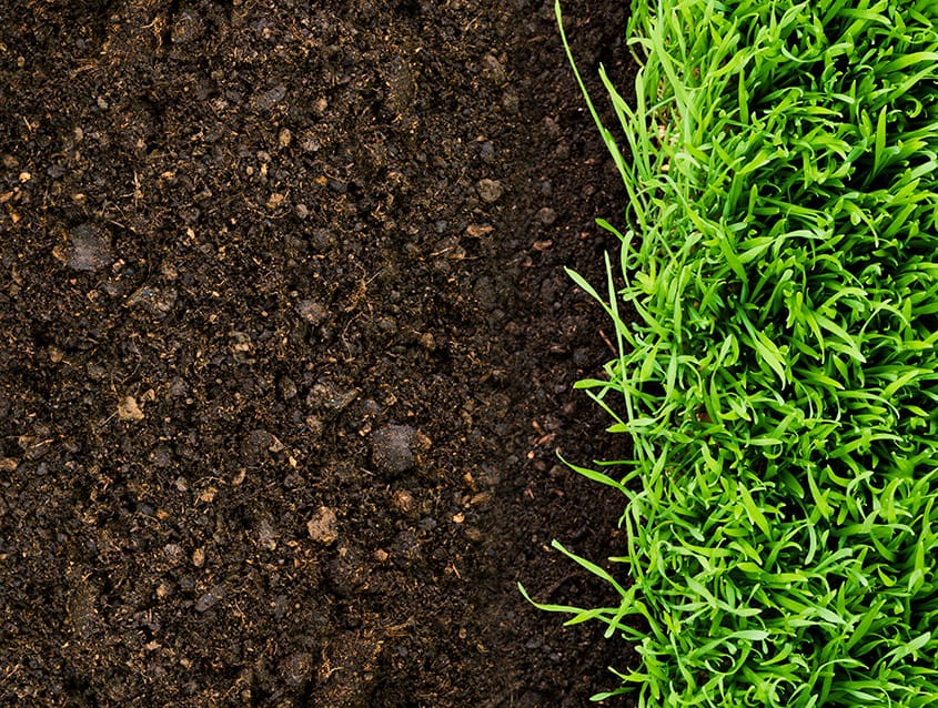 Engrais gazon Sherbrooke Magog