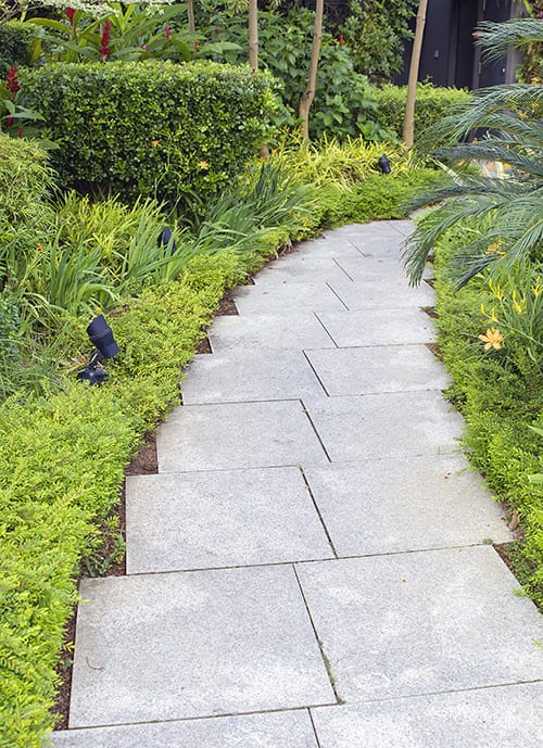 Aménagement paysager